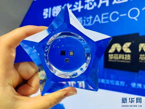 聚焦高质量发展 全生命周期培育 湖北科技向‘新’奔赴